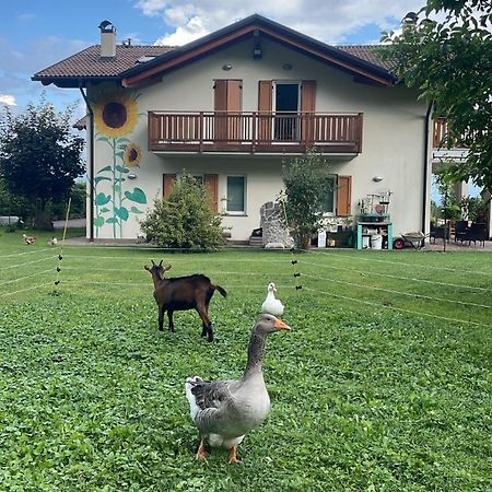 Agriturismo Girasole Fai della Paganella Bagian luar foto