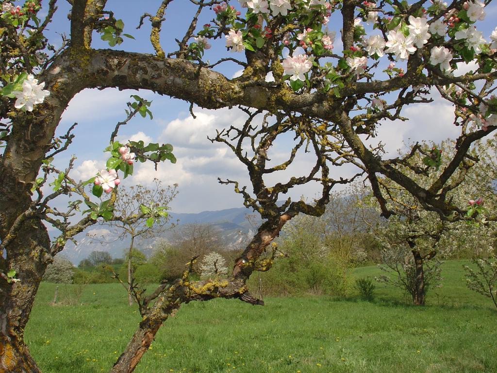 Agriturismo Girasole Fai della Paganella Bagian luar foto